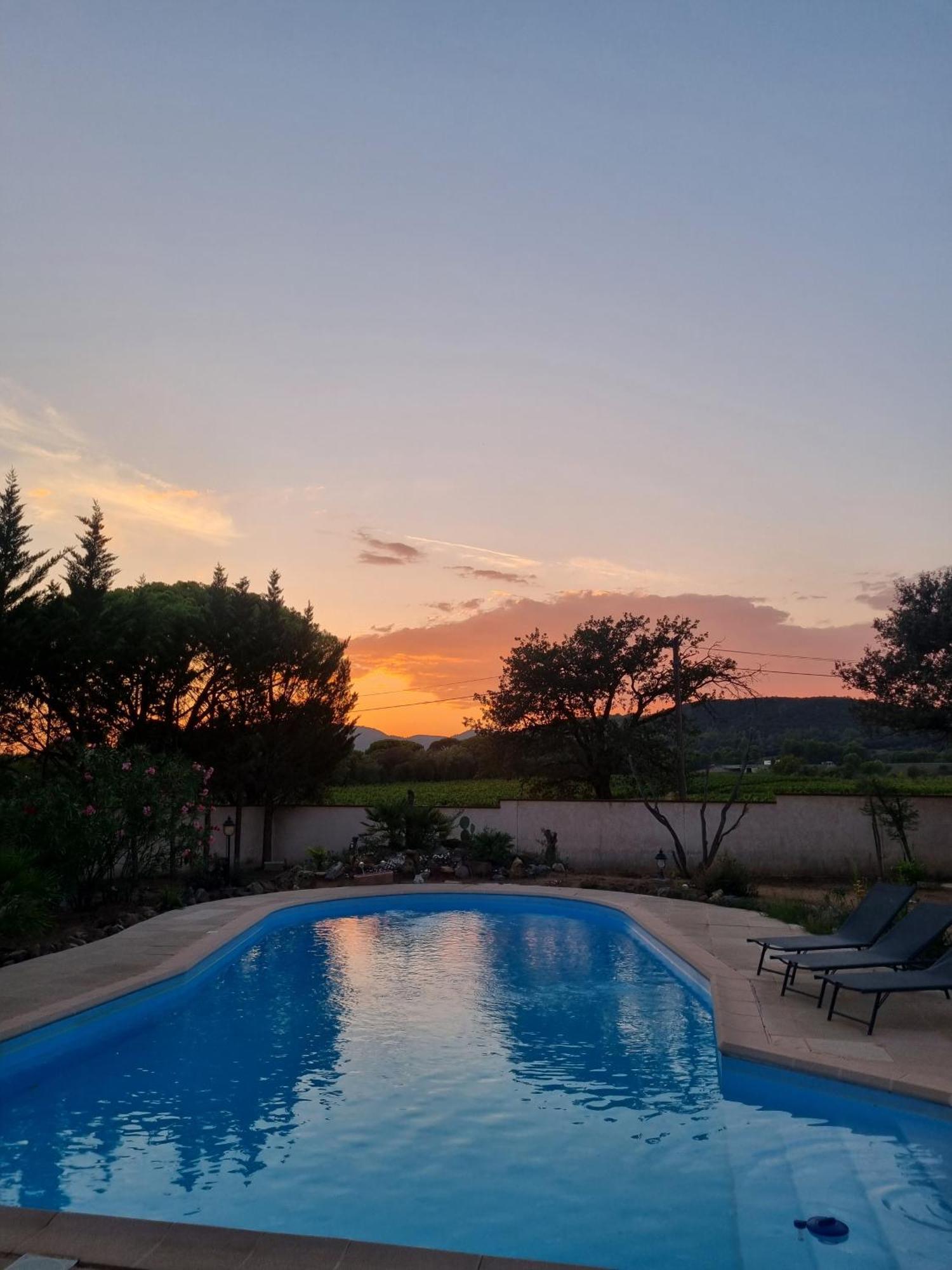 Chambre Face Aux Vignes Vidauban Bagian luar foto